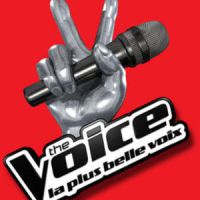 The Voice : ouverture des castings pour la saison 5