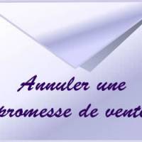 Comment annuler une promesse de vente?