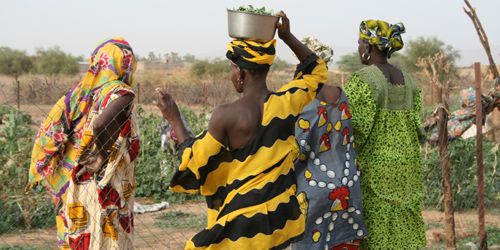 Dignité et droits des femmes : le combat de la Fondation PPR