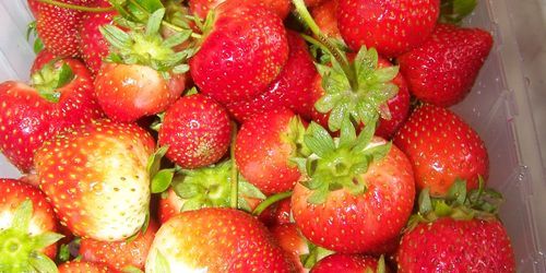 Mousse aux fraises