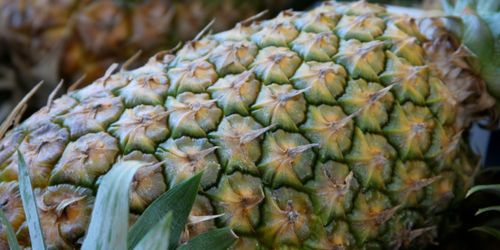 Tarte a l'ananas