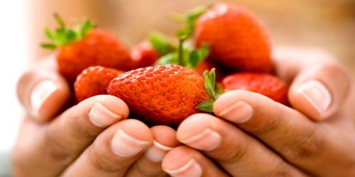 Calendrier des fruits de saison