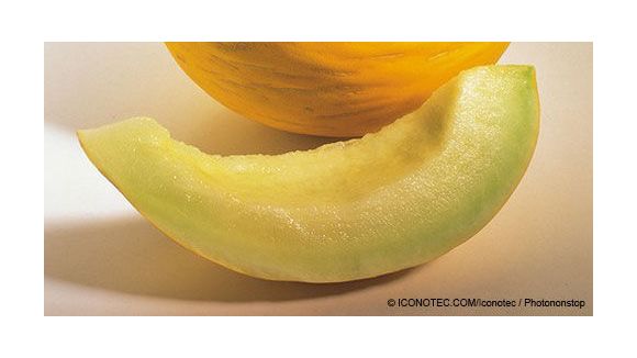 Glace au melon