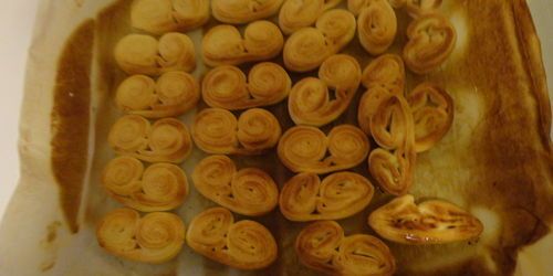 Palmier maison