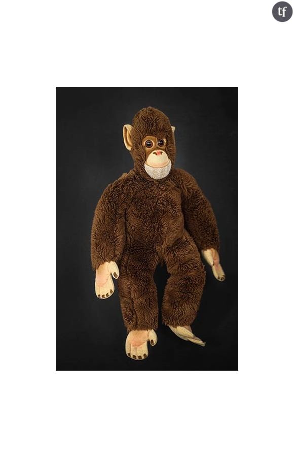 Too Muche love : singe en peluche avant