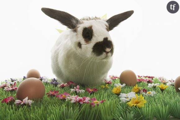 Un lapin de Pâques