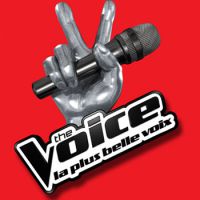 The Voice 2015 : les candidats sélectionnés pour la tournée