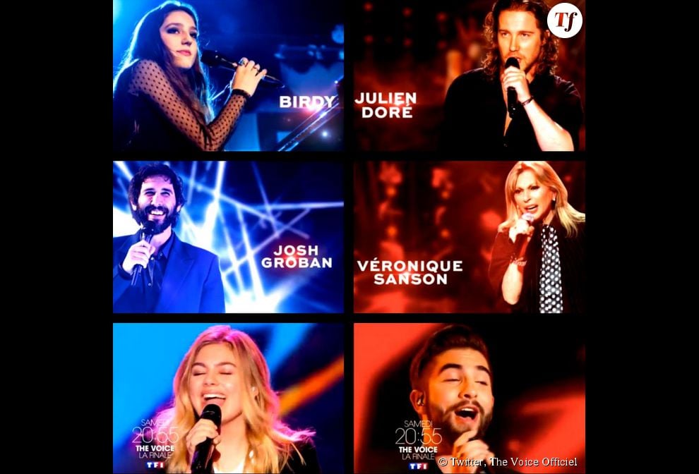 Birdy, Julien Doré, Josh Groban, Véronique Sanson, Louane Emerra et Kendji Girac seront présents pour la finale de The Voice