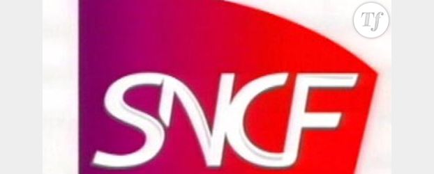 SNCF : La carte 12-25 devient la carte 12-30