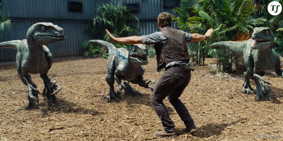Chris Pratt dans le film Jurassic World