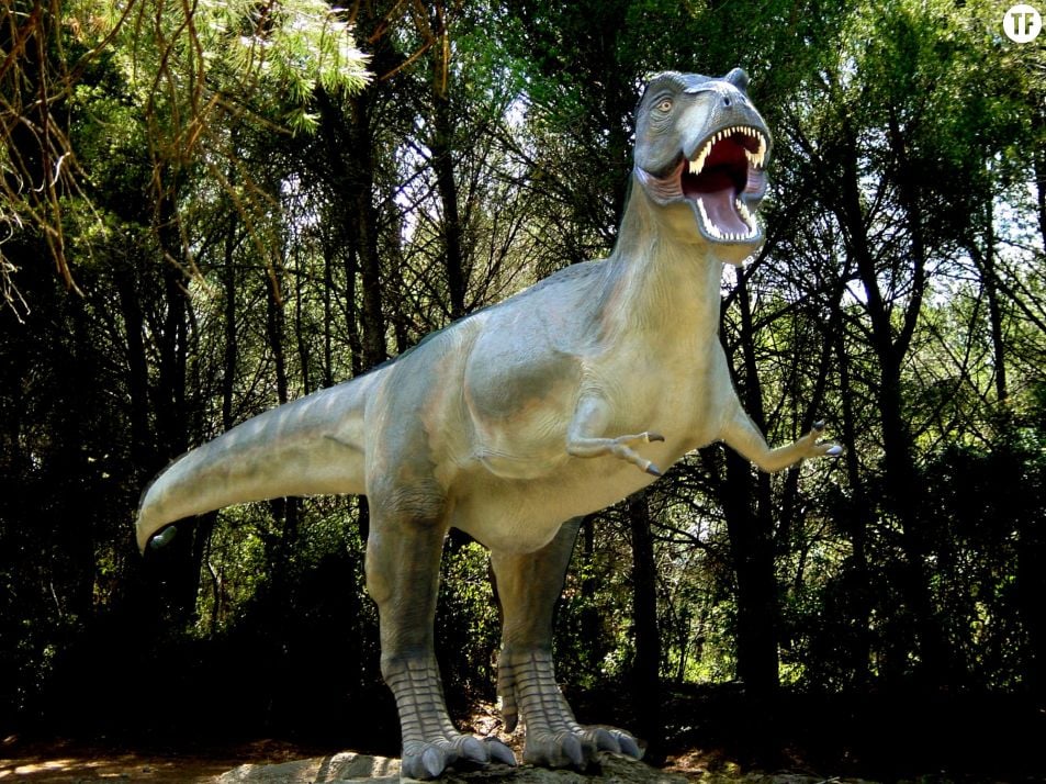 Jurassic Europe Ou Peut On Voir Des Dinosaures En Vrai Ou Presque Terrafemina