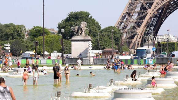 Canicule 2015 - Patrick Pelloux alerte : "Il y a déjà des morts"