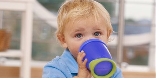 Alerte sanitaire : le bisphénol A toxique même à faible dose