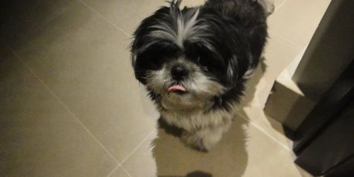 Zahia présente son bébé sur Twitter – Photo