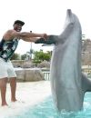 Les dauphins sont également victimes de cet enfermement insupportable pour eux.