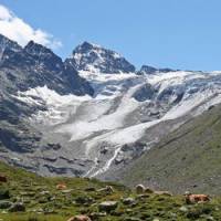 Les "as des cimes" ont franchi  la cordillère Darwin