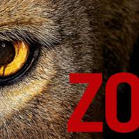 Zoo Saison 2 : quelle date de diffusion des nouveaux épisodes sur TF1 ?