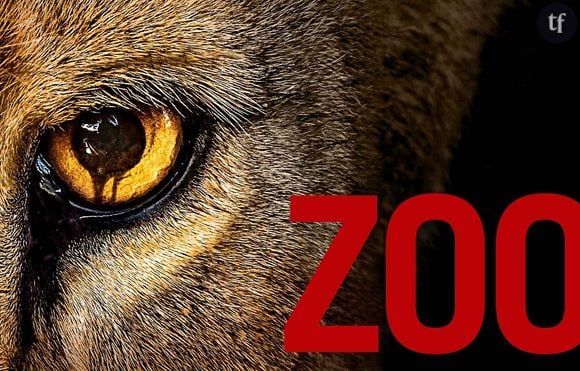 Zoo Saison 2 : quelle date de diffusion des nouveaux épisodes sur TF1 ?