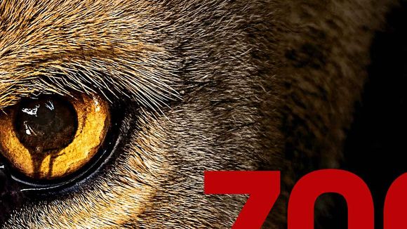 Zoo Saison 2 : quelle date de diffusion des nouveaux épisodes sur TF1 ?
