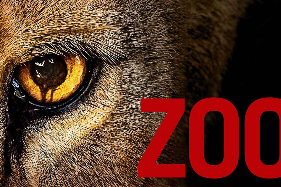 Zoo Saison 2 : quelle date de diffusion des nouveaux épisodes sur TF1 ?