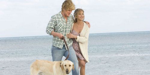 Du ciné à l’eau de rose pour vos soirées d’hiver