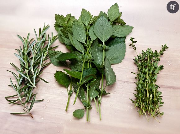 Les herbes aromatiques