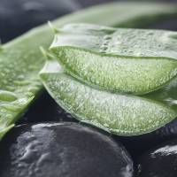 10 gestes beauté étonnants à faire avec le gel d'Aloe vera