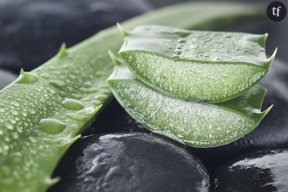 Le gel d'Aloe vera a de multiples usages, tous plus étonnants les uns que les autres.