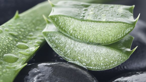 10 gestes beauté étonnants à faire avec le gel d'Aloe vera