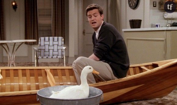 L'incroyable canard de compagnie de Friends