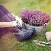 Les 5 bienfaits insoupçonnés du jardinage sur la santé