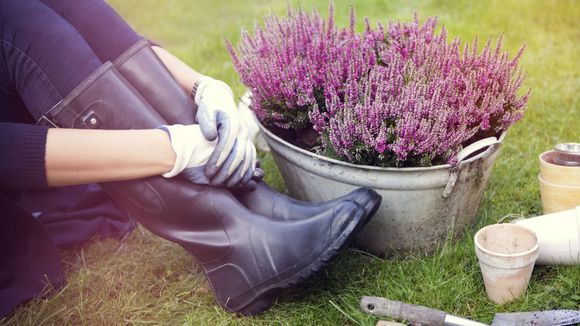 Les 5 bienfaits insoupçonnés du jardinage sur la santé