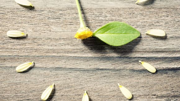 Heure d'été 2016 : date du changement d'heure