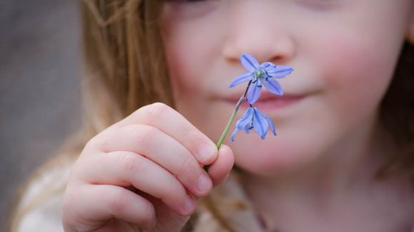 4 jolies activités à faire avec les enfants au printemps