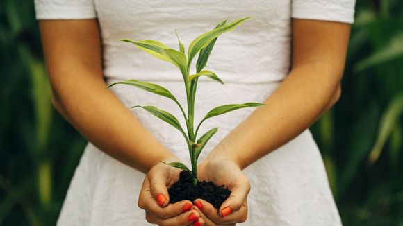 Les écolos sont plus heureux, c'est scientifiquement prouvé