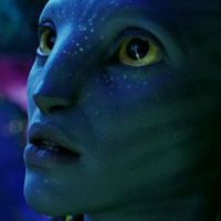BitTorrent : « Avatar », « Batman » et « Transformers » en tête des téléchargements