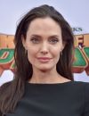 Les pommettes d'Angelina Jolie