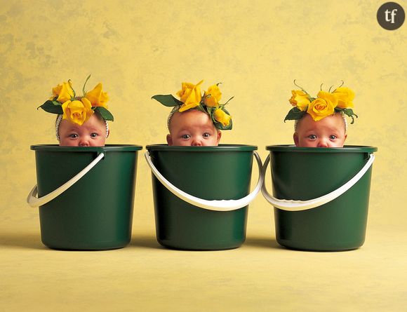 Que sont devenus les bébés de Anne Geddes ?