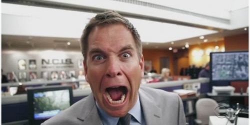 NCIS Michael Weatherly (DiNozzo) doit 58 000 euros 