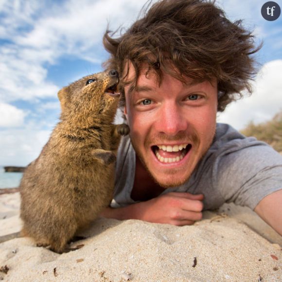 Allan Dixon, le professionnel des selfies avec les animaux sauvages