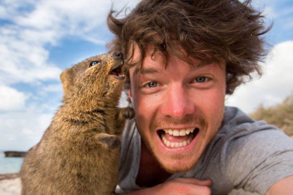 Allan Dixon, le professionnel des selfies avec les animaux sauvages