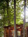 Cette cabane dans les arbres est la plus demandée d'Airbnb
