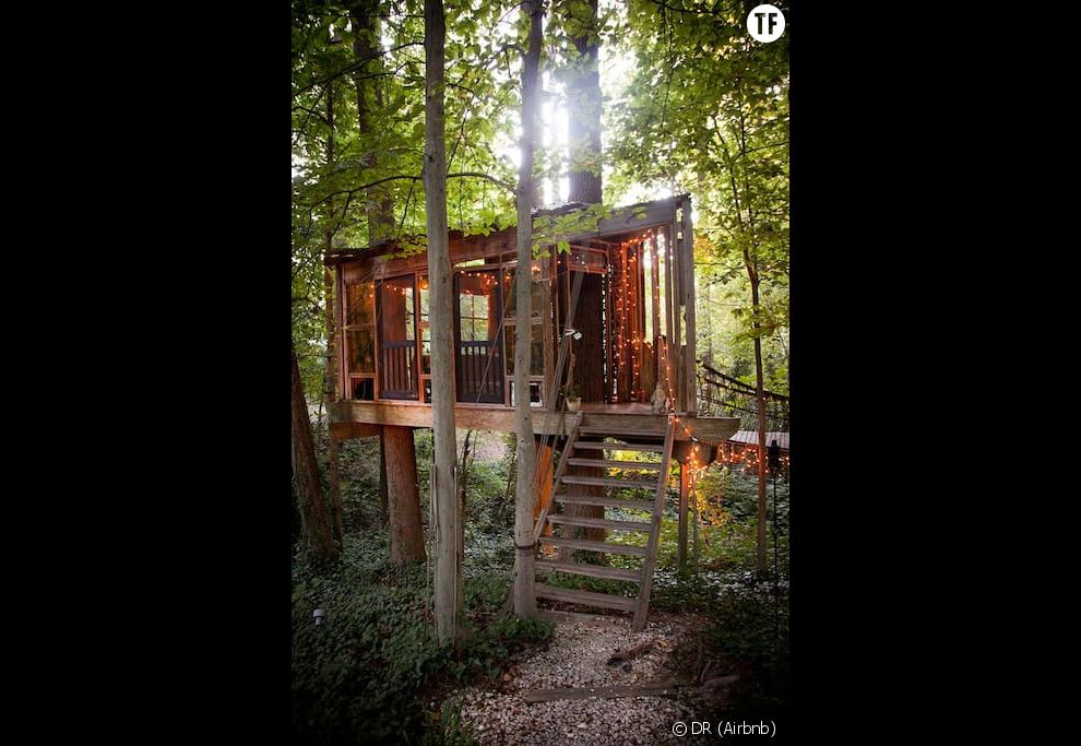 Cette cabane dans les arbres est la plus demandée d&#039;Airbnb