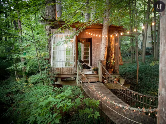 Cette maison dans les arbres est le spot le plus demandé d'Airbnb