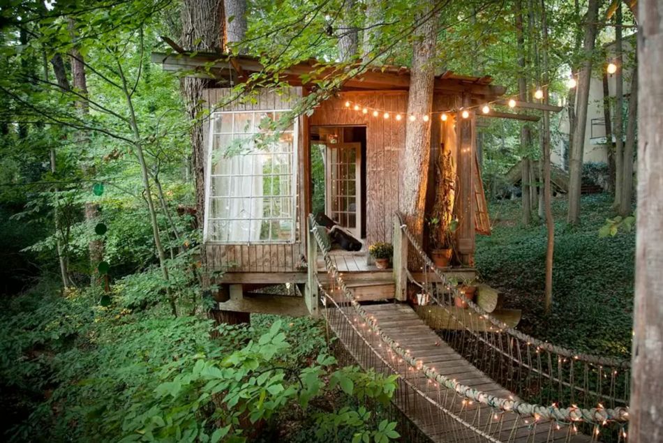Cette maison dans les arbres est le spot le plus demandé d'Airbnb