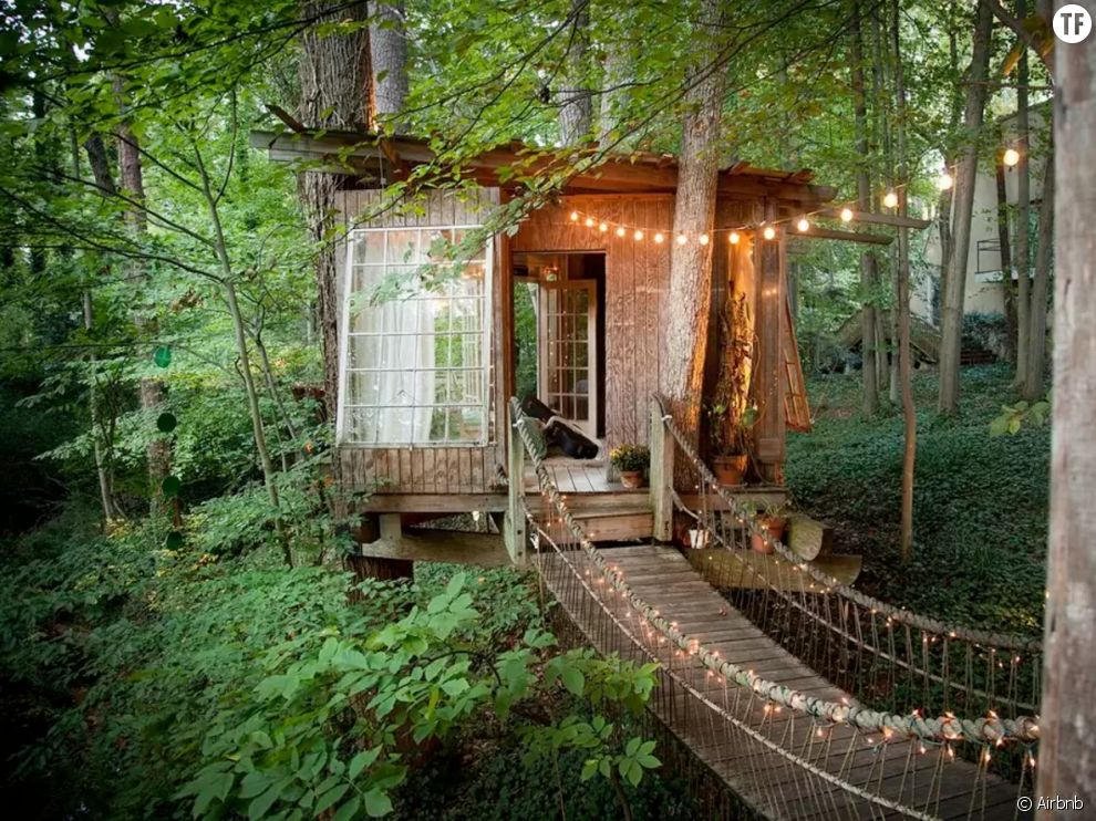 Cette maison dans les arbres est le spot le plus demandé d&#039;Airbnb