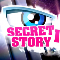 Secret Story 11 : un célèbre youtubeur candidat dans l'émission ?