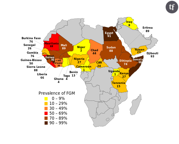 L'excision en Afrique, 2013, Unicef