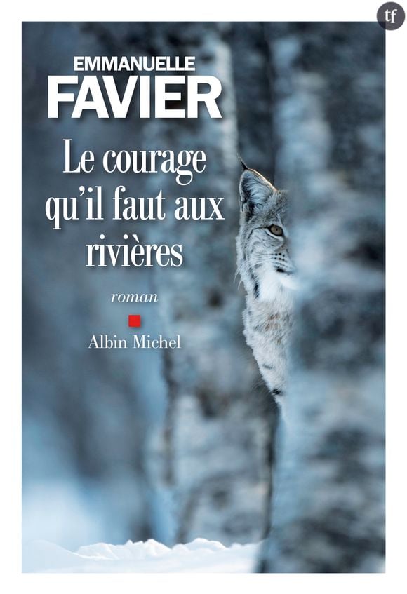 Le courage qu'il faut aux rivières