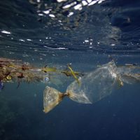 Devenez citoyen des îles Poubelles pour sauver les océans des déchets plastiques